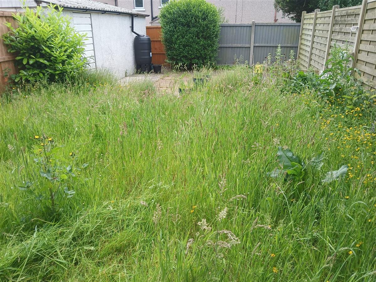 Garden before transformation by GP Garden Care